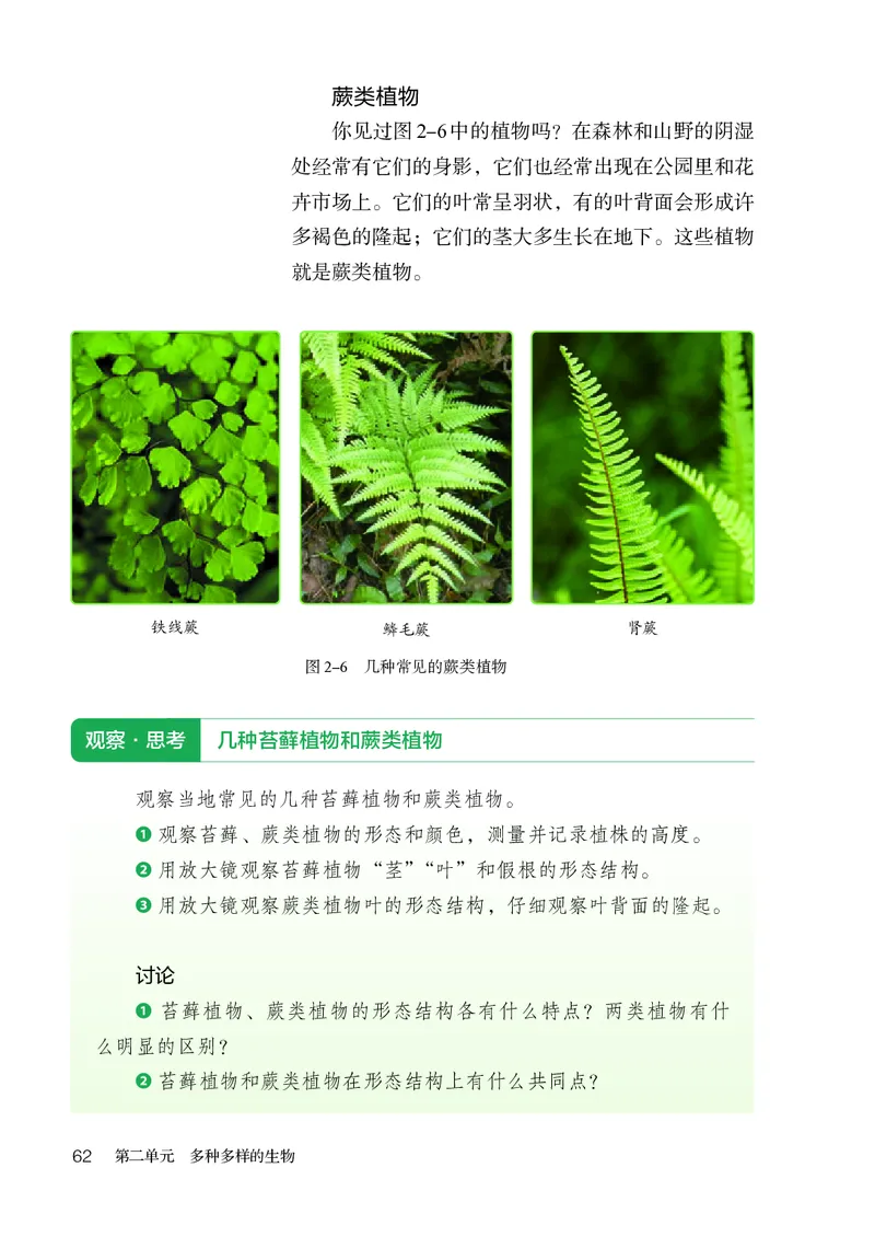 人教版7年级生物上册高清教材_4-教培资料-26年最新资料-同步更新_初中高中教资_03科三专项（进去保存报考的学科即可）_02科三专项（笔记真题思维导图教学设计版本二）