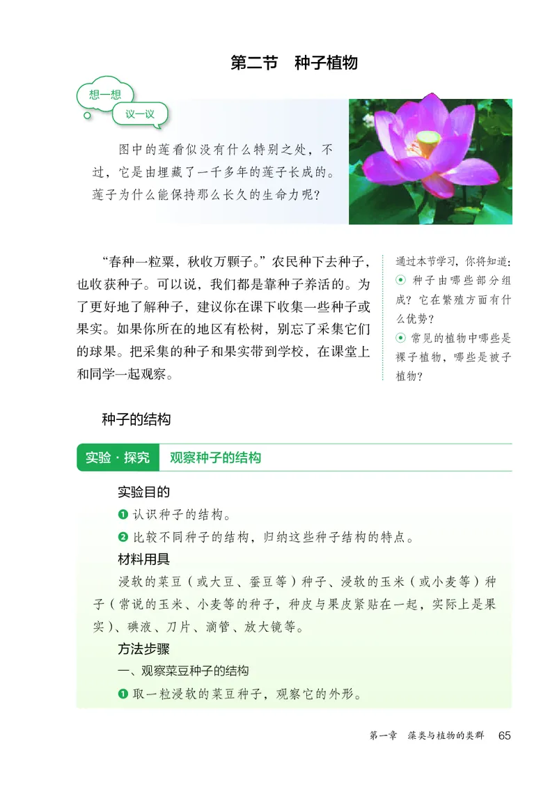 人教版7年级生物上册高清教材_4-教培资料-26年最新资料-同步更新_初中高中教资_03科三专项（进去保存报考的学科即可）_02科三专项（笔记真题思维导图教学设计版本二）