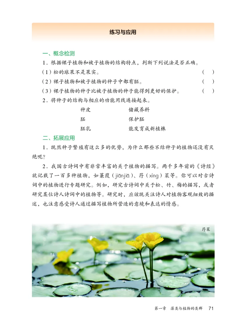 人教版7年级生物上册高清教材_4-教培资料-26年最新资料-同步更新_初中高中教资_03科三专项（进去保存报考的学科即可）_02科三专项（笔记真题思维导图教学设计版本二）