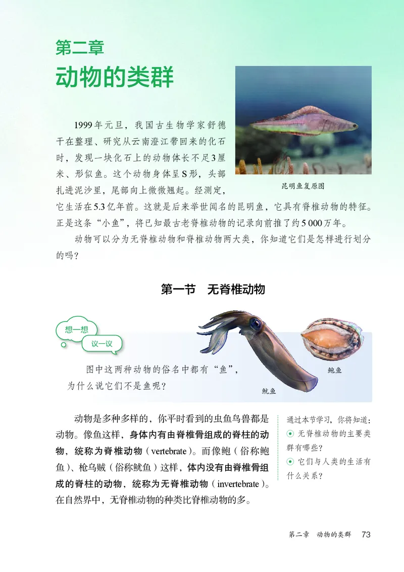 人教版7年级生物上册高清教材_4-教培资料-26年最新资料-同步更新_初中高中教资_03科三专项（进去保存报考的学科即可）_02科三专项（笔记真题思维导图教学设计版本二）