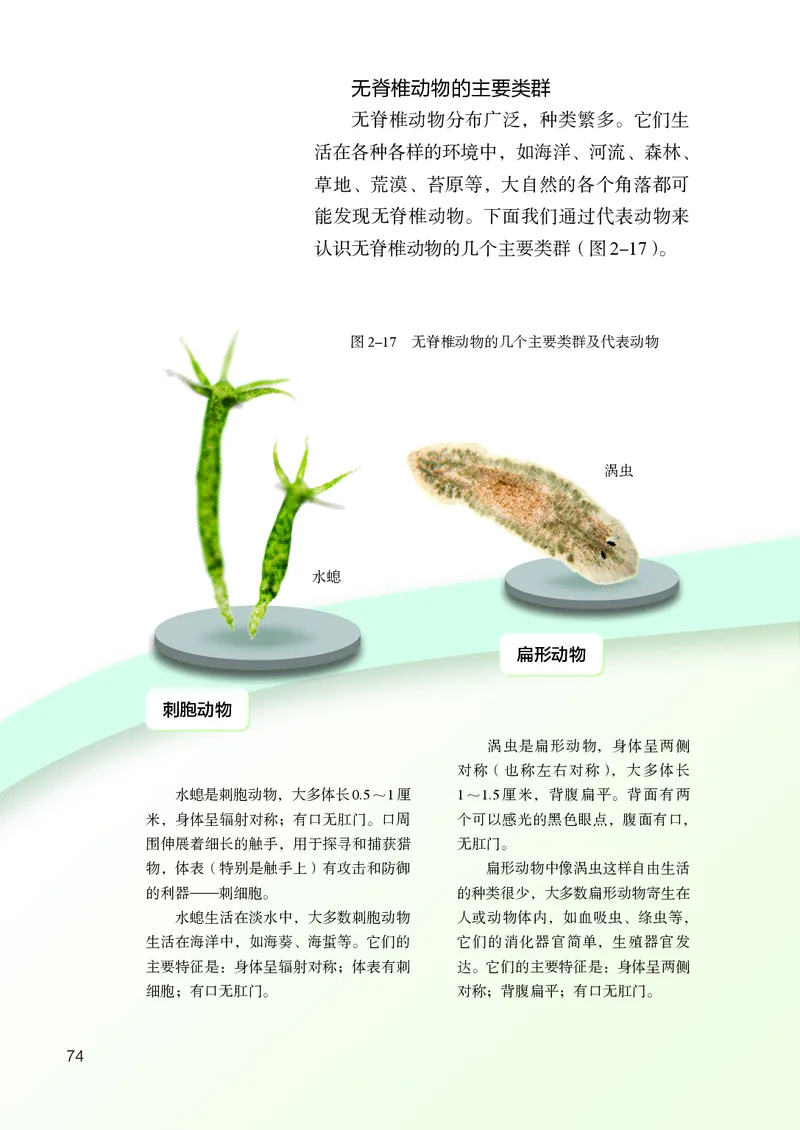 人教版7年级生物上册高清教材_4-教培资料-26年最新资料-同步更新_初中高中教资_03科三专项（进去保存报考的学科即可）_02科三专项（笔记真题思维导图教学设计版本二）