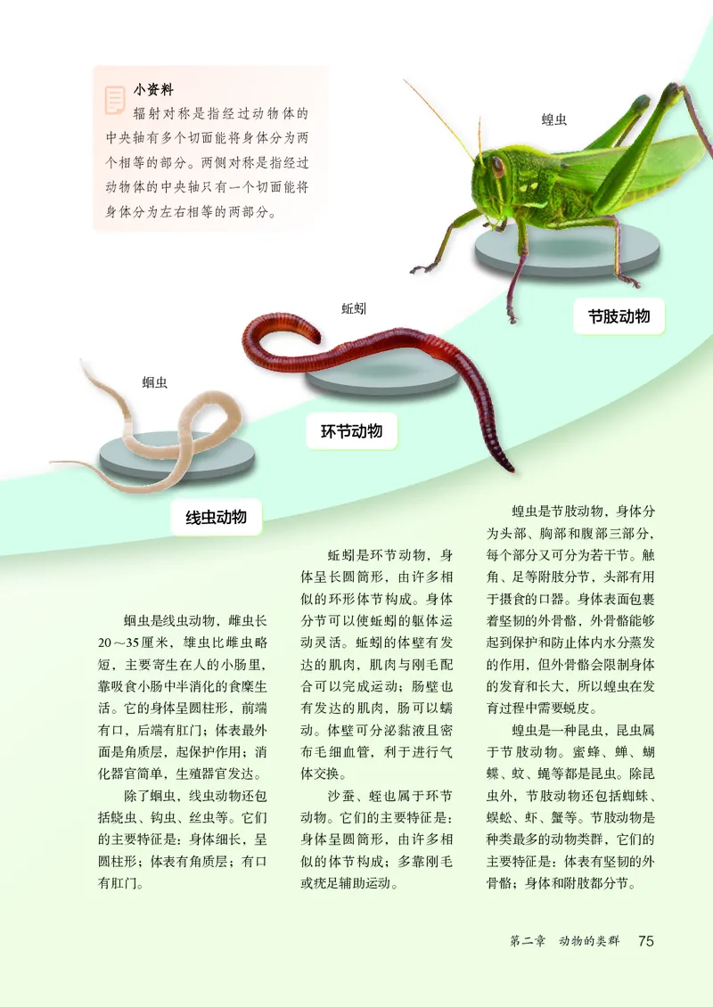 人教版7年级生物上册高清教材_4-教培资料-26年最新资料-同步更新_初中高中教资_03科三专项（进去保存报考的学科即可）_02科三专项（笔记真题思维导图教学设计版本二）