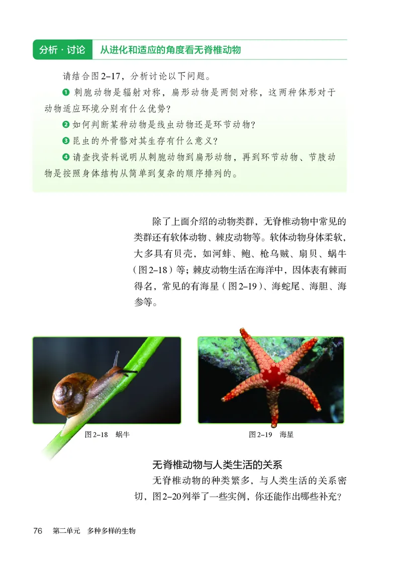 人教版7年级生物上册高清教材_4-教培资料-26年最新资料-同步更新_初中高中教资_03科三专项（进去保存报考的学科即可）_02科三专项（笔记真题思维导图教学设计版本二）