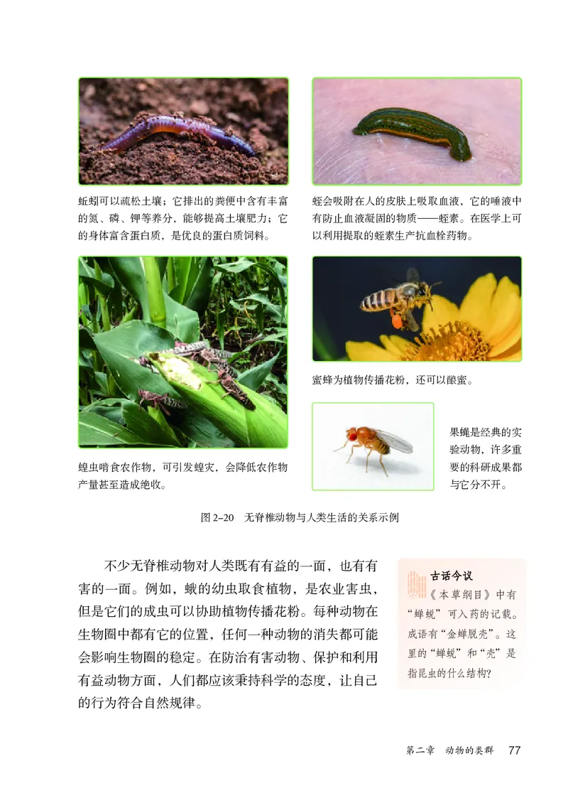 人教版7年级生物上册高清教材_4-教培资料-26年最新资料-同步更新_初中高中教资_03科三专项（进去保存报考的学科即可）_02科三专项（笔记真题思维导图教学设计版本二）