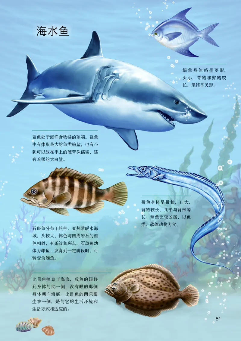 人教版7年级生物上册高清教材_4-教培资料-26年最新资料-同步更新_初中高中教资_03科三专项（进去保存报考的学科即可）_02科三专项（笔记真题思维导图教学设计版本二）