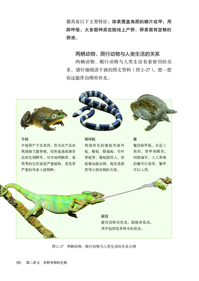 人教版7年级生物上册高清教材_4-教培资料-26年最新资料-同步更新_初中高中教资_03科三专项（进去保存报考的学科即可）_02科三专项（笔记真题思维导图教学设计版本二）