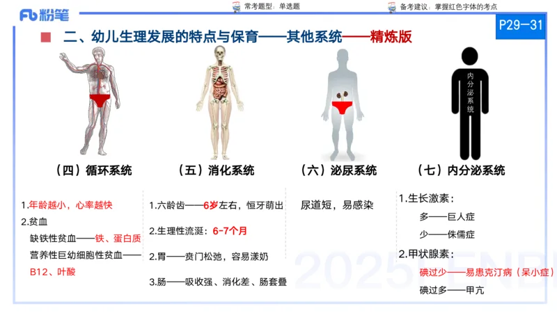 25上保教知识与能力++理论精讲3&mdash;青山_4-教培资料-26年最新资料-同步更新_幼儿教资_022025上FB幼儿系统班_25上-保教知识与能力_02理论精讲_讲义