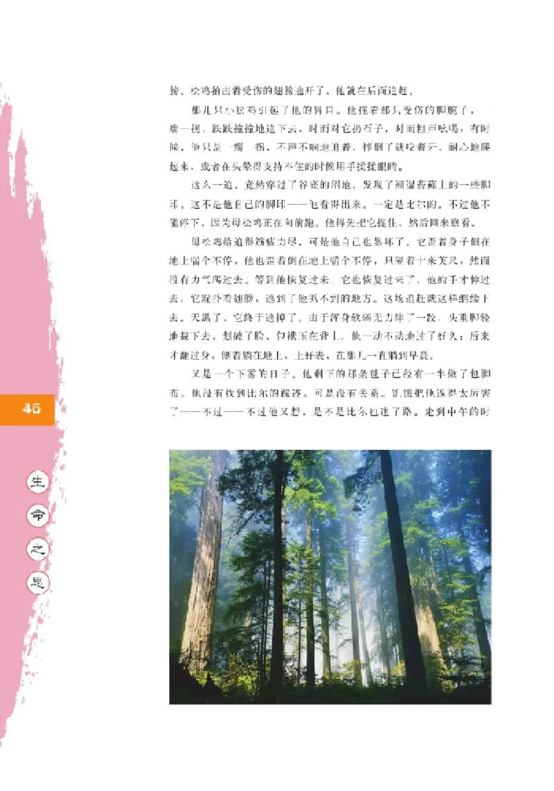 2北师大版高二必修三_4-教培资料-26年最新资料-同步更新_初中高中教资_03科三专项（进去保存报考的学科即可）_02科三专项（笔记真题思维导图教学设计版本二）