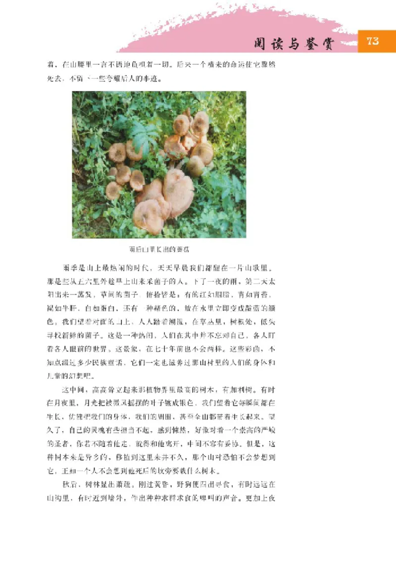 2北师大版高二必修三_4-教培资料-26年最新资料-同步更新_初中高中教资_03科三专项（进去保存报考的学科即可）_02科三专项（笔记真题思维导图教学设计版本二）
