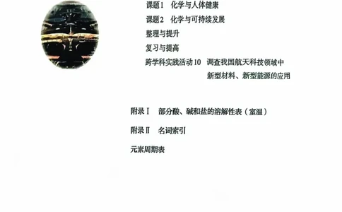 25春-人教版9年级化学下册电子课本_4-教培资料-26年最新资料-同步更新_初中高中教资_03科三专项（进去保存报考的学科即可）_02科三专项（笔记真题思维导图教学设计版本二）