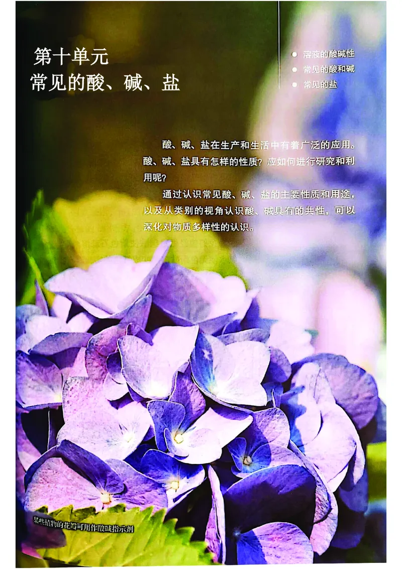 25春-人教版9年级化学下册电子课本_4-教培资料-26年最新资料-同步更新_初中高中教资_03科三专项（进去保存报考的学科即可）_02科三专项（笔记真题思维导图教学设计版本二）