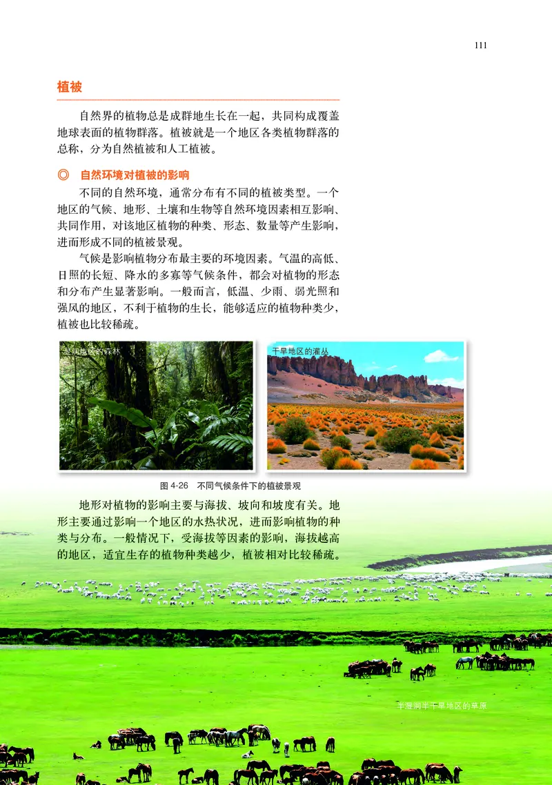 中华社地理必修第一册高清教材_4-教培资料-26年最新资料-同步更新_初中高中教资_03科三专项（进去保存报考的学科即可）_02科三专项（笔记真题思维导图教学设计版本二）