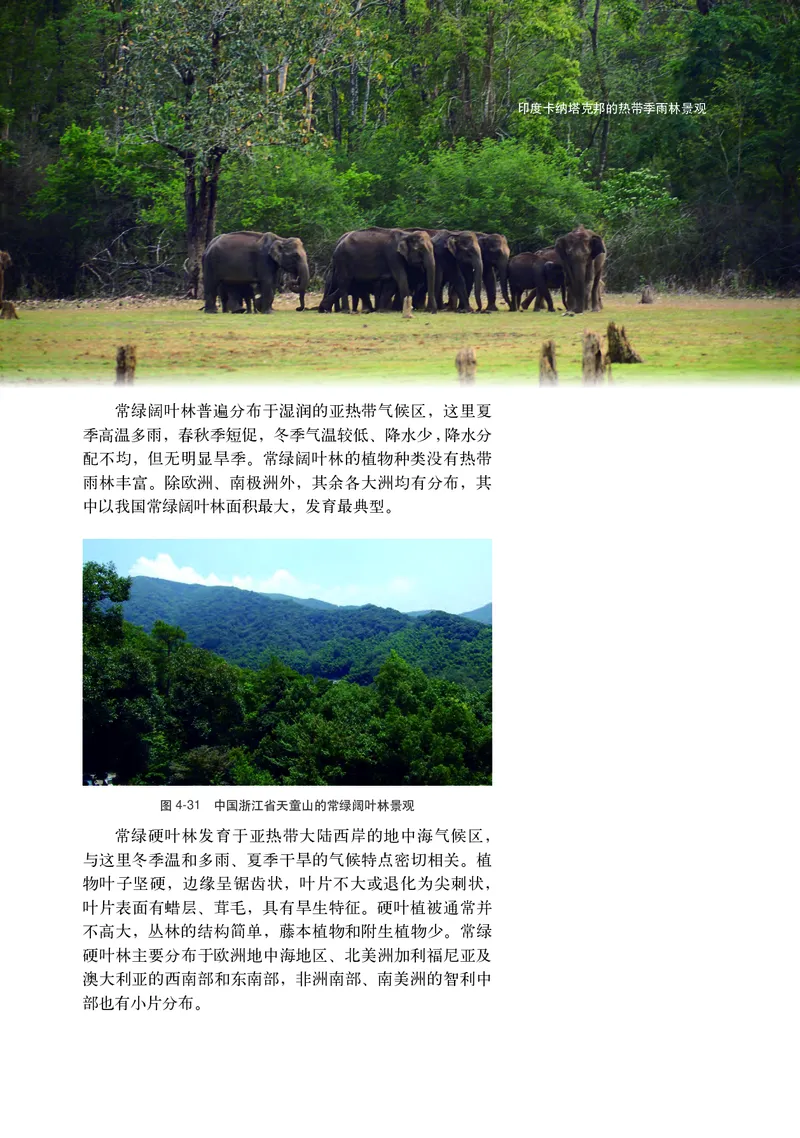 中华社地理必修第一册高清教材_4-教培资料-26年最新资料-同步更新_初中高中教资_03科三专项（进去保存报考的学科即可）_02科三专项（笔记真题思维导图教学设计版本二）