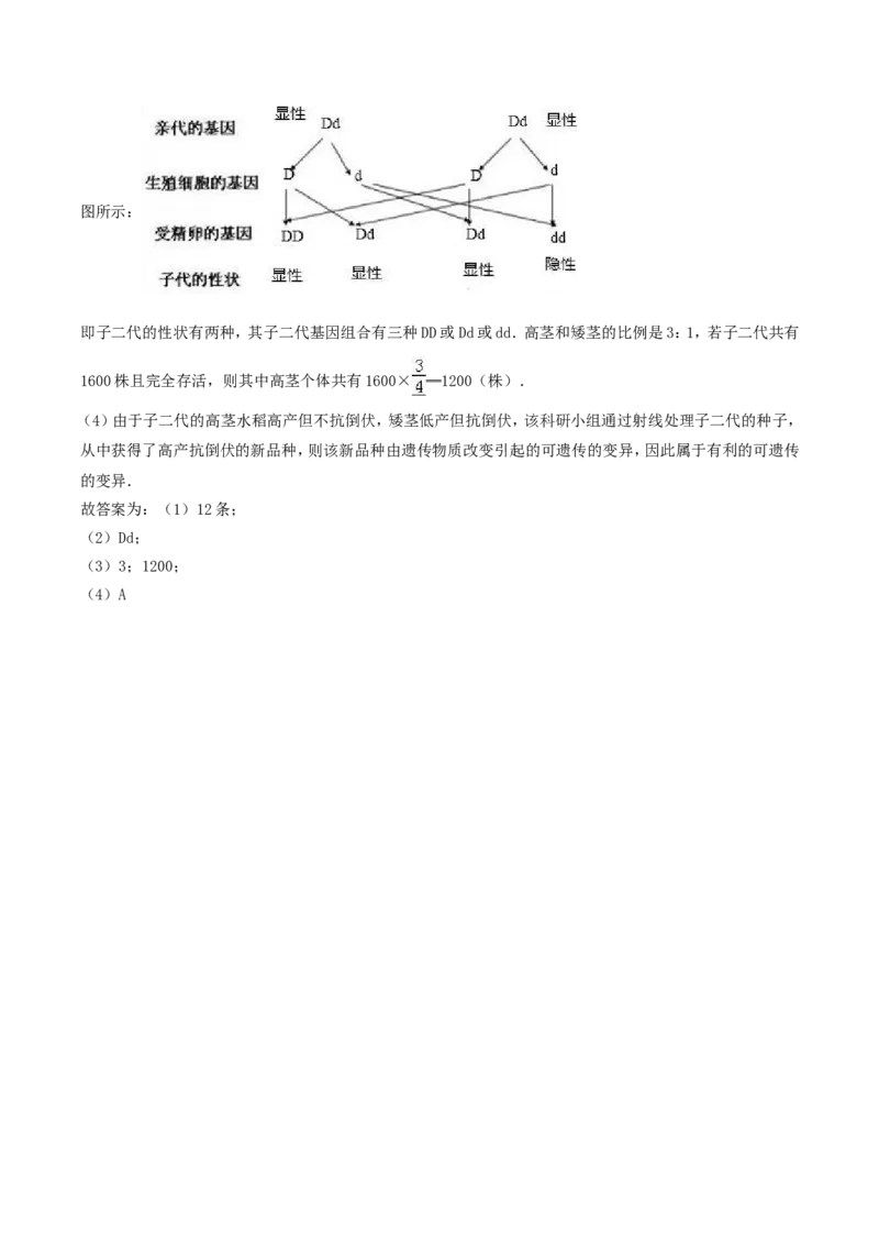 2017年四川省南充市中考生物真题及答案_中考真题_8.生物中考真题2015-2024年_地区卷_四川省_四川南充生物17-22