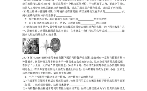 2016年德州市中考生物真题试题(解析版)_中考真题_8.生物中考真题2015-2024年_地区卷_山东省_山东德州生物11-20
