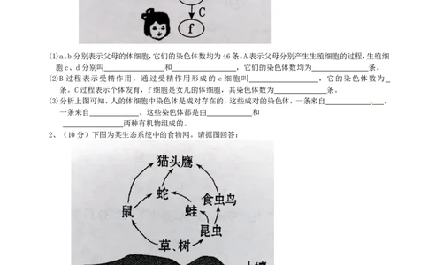 2016年四川省成都市中考生物真题及答案_中考真题_8.生物中考真题2015-2024年_地区卷_四川省_四川成都生物15-22