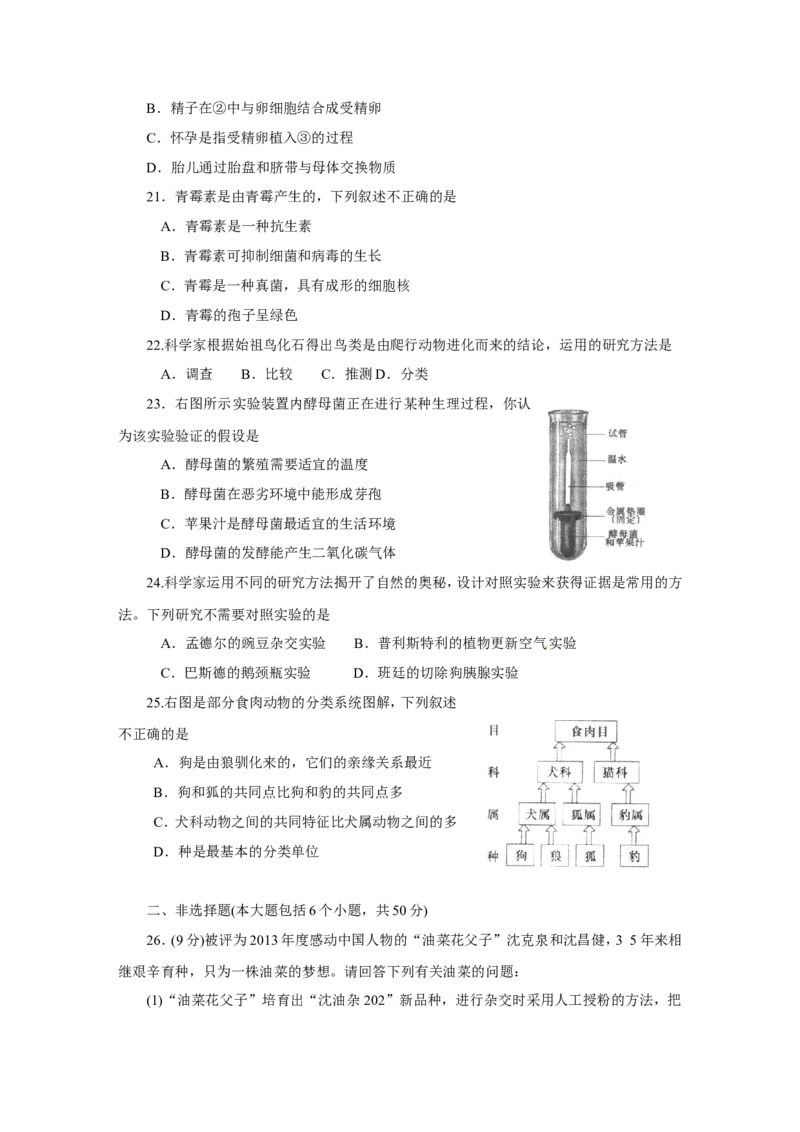 2014烟台市中考生物试题及答案(word版)_中考真题_8.生物中考真题2015-2024年_地区卷_山东省_烟台中考生物08-22