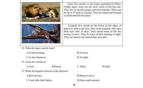 2016年江苏宿迁市中考英语试题及答案_中考真题_3.英语中考真题2015-2024年_地区卷_江苏省_宿迁中考英语08-22