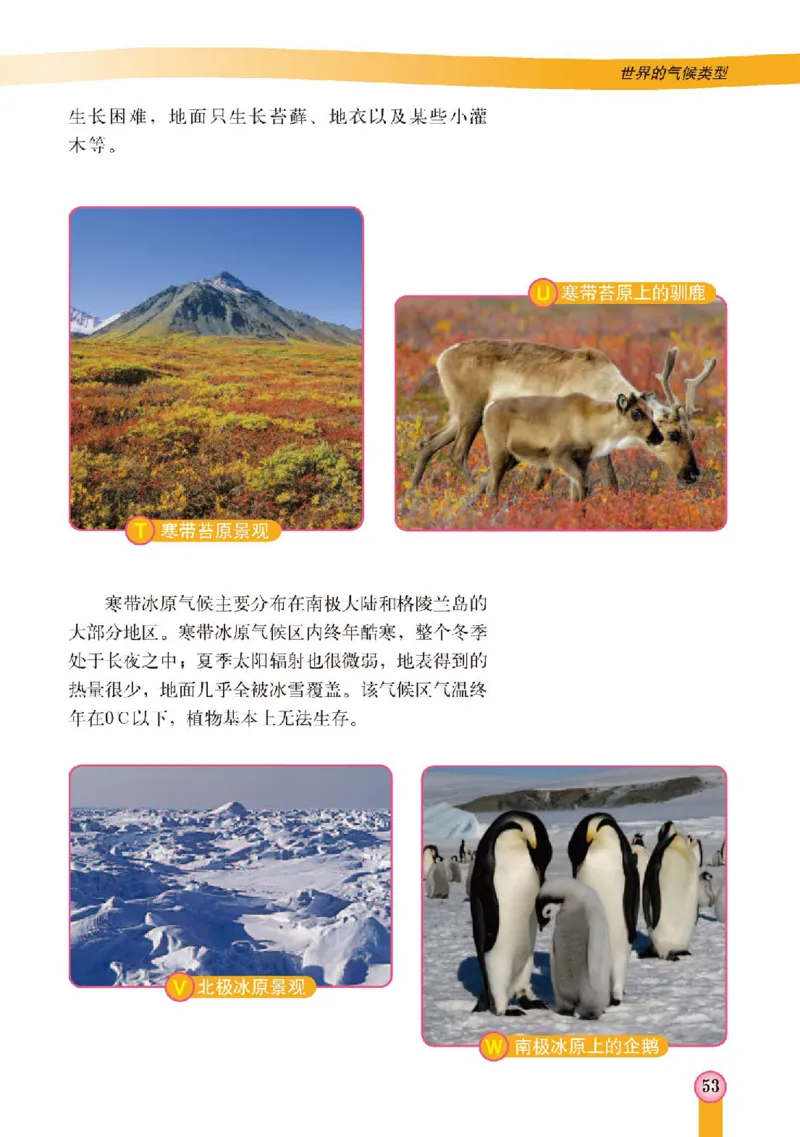 中图版8年级地理上册高清教材主编：王民_4-教培资料-26年最新资料-同步更新_初中高中教资_03科三专项（进去保存报考的学科即可）_102025初中科目（全）电子教材