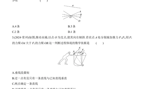 第17课时　几何初步、相交线与平行线2025年中考数学一轮专题复习强化练习（含答案）_2数学总复习_2025中考复习资料_2025年中考数学一轮专题复习强化练习（含答案）