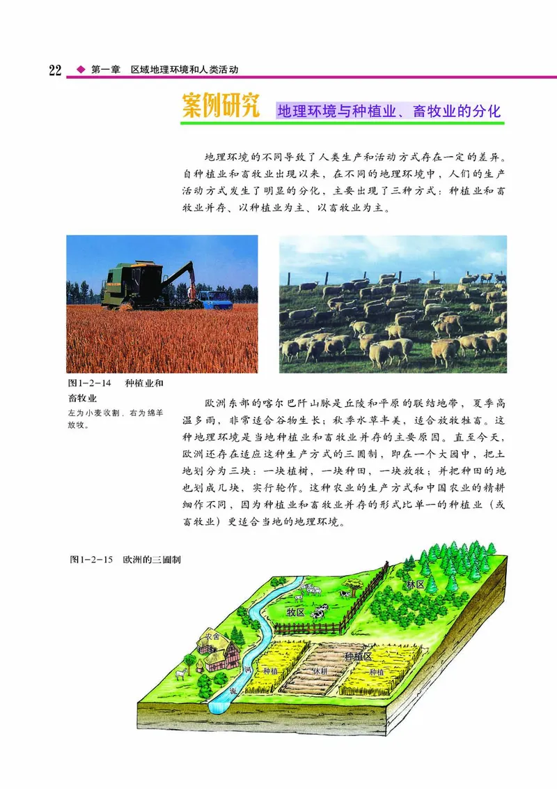 中图版高中地理必修3_4-教培资料-26年最新资料-同步更新_初中高中教资_03科三专项（进去保存报考的学科即可）_02科三专项（笔记真题思维导图教学设计版本二）