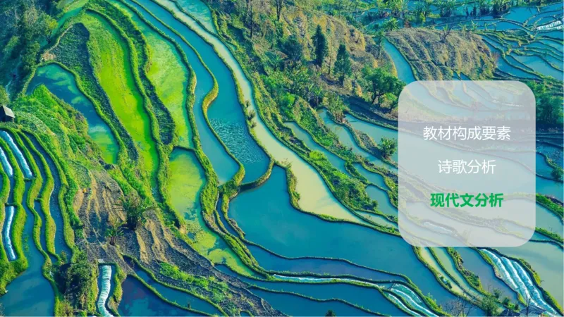 24.2.3-教资系统班-文本分析-雨田_4-教培资料-26年最新资料-同步更新_科一科二电子资料合集中小幼（笔记真题知识点汇总等）文件多，按需保存_各机构笔记合集（中小幼）推荐_讲义