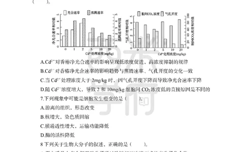 24上-高中笔试科目三《学科知识与教学能力》模拟卷2-高中生物-模拟预测卷_4-教培资料-26年最新资料-同步更新_初中高中教资_03科三专项（进去保存报考的学科即可）_高中
