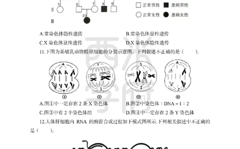 24上-高中笔试科目三《学科知识与教学能力》模拟卷2-高中生物-模拟预测卷_4-教培资料-26年最新资料-同步更新_初中高中教资_03科三专项（进去保存报考的学科即可）_高中
