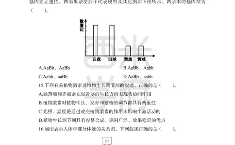 24上-高中笔试科目三《学科知识与教学能力》模拟卷2-高中生物-模拟预测卷_4-教培资料-26年最新资料-同步更新_初中高中教资_03科三专项（进去保存报考的学科即可）_高中