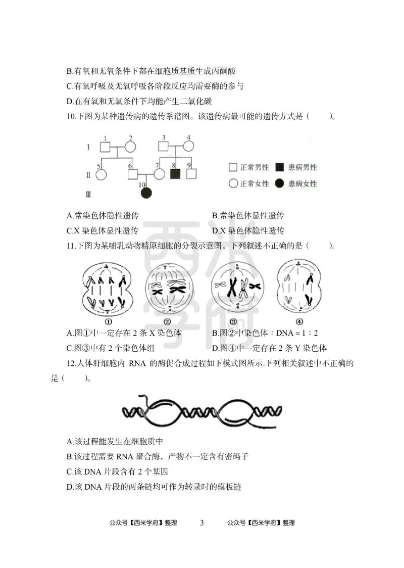 24上-高中笔试科目三《学科知识与教学能力》模拟卷2-高中生物-模拟预测卷_4-教培资料-26年最新资料-同步更新_初中高中教资_03科三专项（进去保存报考的学科即可）_高中
