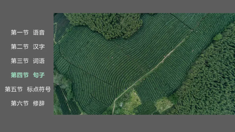 24下-教资系统班现代汉语2&mdash;乐多_4-教培资料-26年最新资料-同步更新_初中高中教资_03科三专项（进去保存报考的学科即可）_01科目三FB网课、三色速记手册、知识点导图等推荐