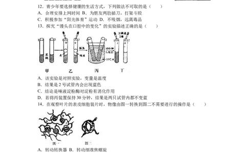 2016烟台市中考生物试题及答案(word版)_中考真题_8.生物中考真题2015-2024年_地区卷_山东省_烟台中考生物08-22