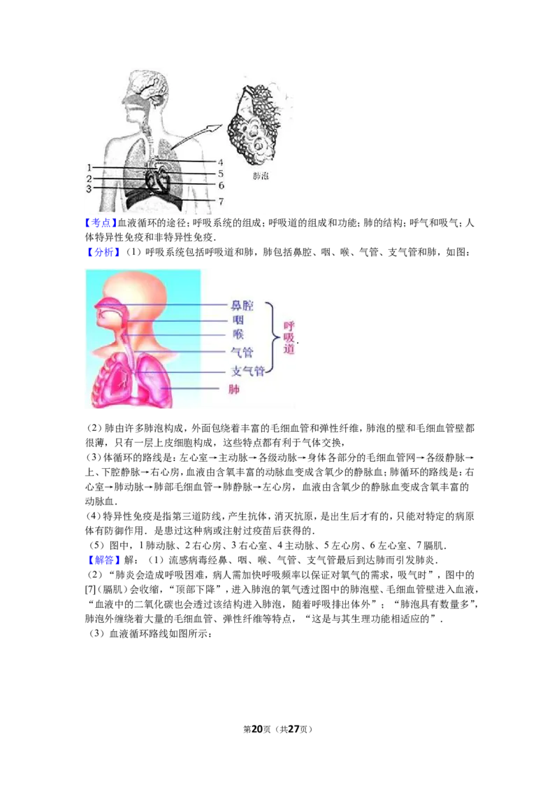 2016烟台市中考生物试题及答案(word版)_中考真题_8.生物中考真题2015-2024年_地区卷_山东省_烟台中考生物08-22