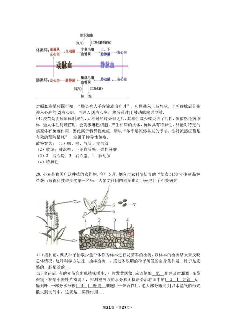 2016烟台市中考生物试题及答案(word版)_中考真题_8.生物中考真题2015-2024年_地区卷_山东省_烟台中考生物08-22