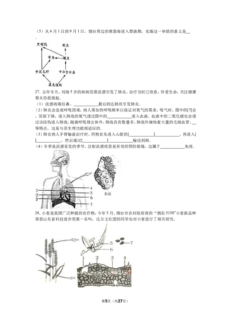 2016烟台市中考生物试题及答案(word版)_中考真题_8.生物中考真题2015-2024年_地区卷_山东省_烟台中考生物08-22