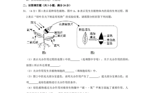 2017年广西省柳州市中考生物试题（空白卷）_中考真题_8.生物中考真题2015-2024年_地区卷_广西省_柳州生物2016-2020