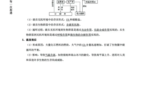 生物专项考点46：能量流动与物质循环_2026考公资料_（28）上岸村合集（司马、章晓铭、王永恒、天晓、忠政、丁旭等）_2025合集_92024上岸村广东省考科学推理套卷班_课件