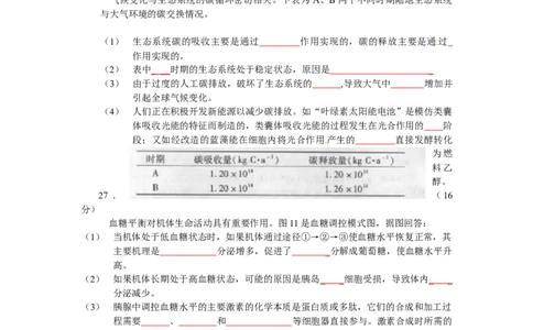 2010年高考生物试卷（广东）（空白卷）_1.高考2025全国各省真题+答案_01.2008-2024全国高考真题（按省份分类）_4.广东_2008-2024&middot;（广东）生物高考真题