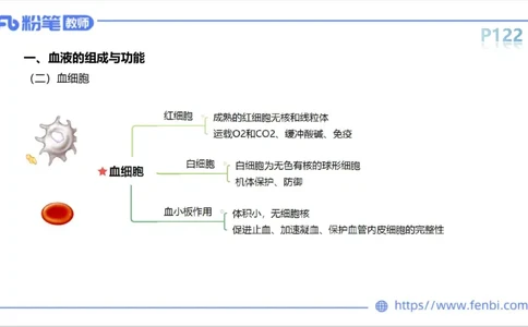 6.14-中学科目三理论精讲8-运动生理学3-岳博_4-教培资料-26年最新资料-同步更新_科一科二电子资料合集中小幼（笔记真题知识点汇总等）文件多，按需保存_01西米合集_1理论精讲