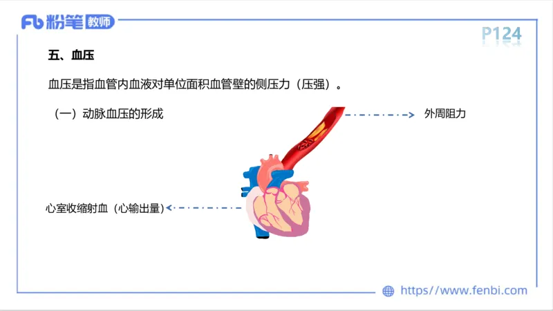 6.14-中学科目三理论精讲8-运动生理学3-岳博_4-教培资料-26年最新资料-同步更新_科一科二电子资料合集中小幼（笔记真题知识点汇总等）文件多，按需保存_01西米合集_1理论精讲