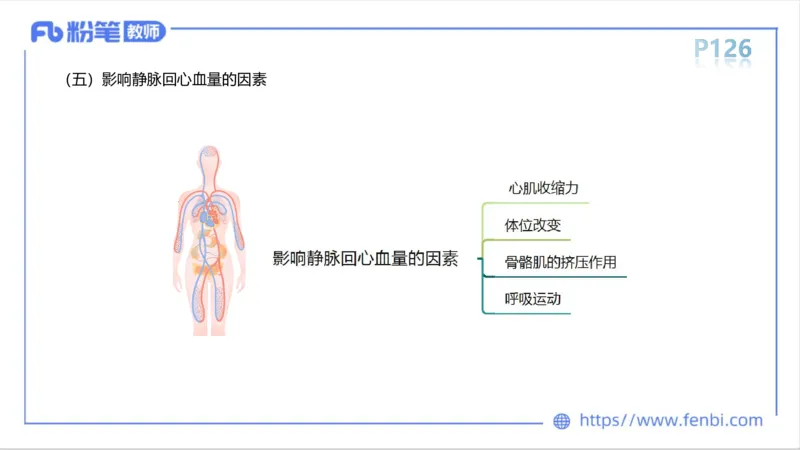 6.14-中学科目三理论精讲8-运动生理学3-岳博_4-教培资料-26年最新资料-同步更新_科一科二电子资料合集中小幼（笔记真题知识点汇总等）文件多，按需保存_01西米合集_1理论精讲