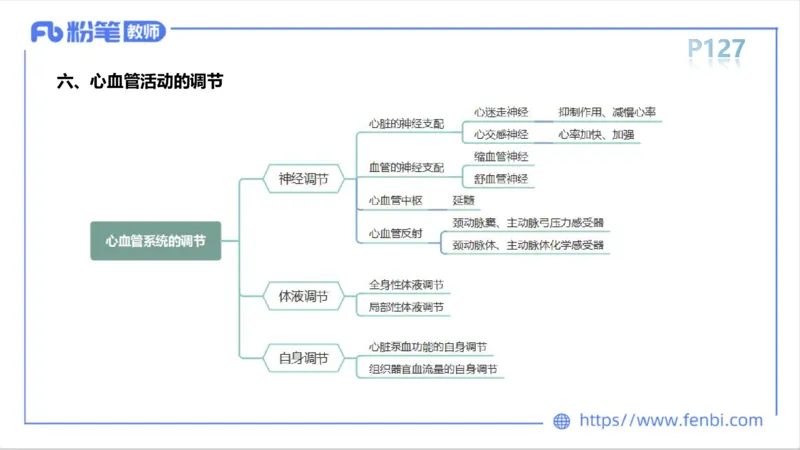 6.14-中学科目三理论精讲8-运动生理学3-岳博_4-教培资料-26年最新资料-同步更新_科一科二电子资料合集中小幼（笔记真题知识点汇总等）文件多，按需保存_01西米合集_1理论精讲