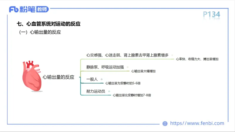 6.14-中学科目三理论精讲8-运动生理学3-岳博_4-教培资料-26年最新资料-同步更新_科一科二电子资料合集中小幼（笔记真题知识点汇总等）文件多，按需保存_01西米合集_1理论精讲