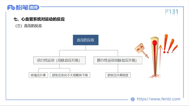6.14-中学科目三理论精讲8-运动生理学3-岳博_4-教培资料-26年最新资料-同步更新_科一科二电子资料合集中小幼（笔记真题知识点汇总等）文件多，按需保存_01西米合集_1理论精讲