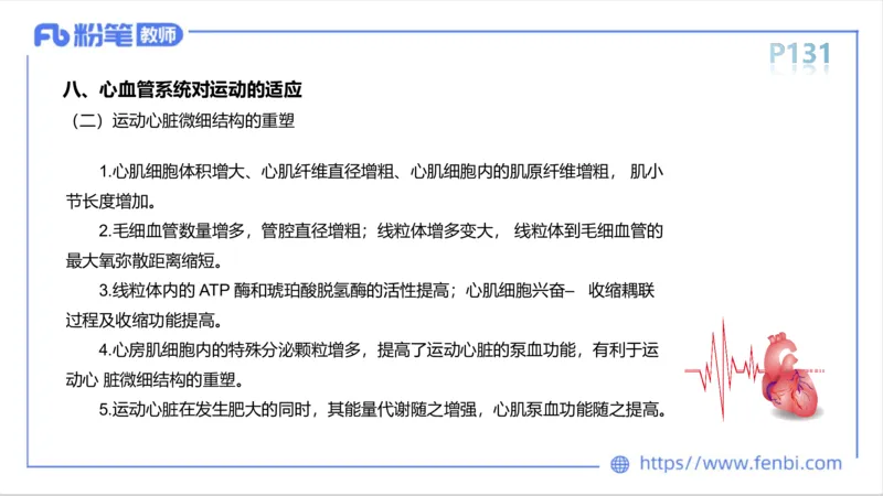 6.14-中学科目三理论精讲8-运动生理学3-岳博_4-教培资料-26年最新资料-同步更新_科一科二电子资料合集中小幼（笔记真题知识点汇总等）文件多，按需保存_01西米合集_1理论精讲
