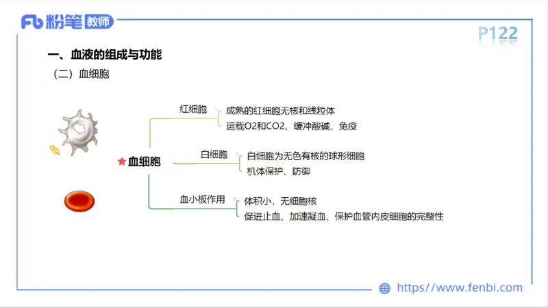 6.14-中学科目三理论精讲8-运动生理学3-岳博_4-教培资料-26年最新资料-同步更新_科一科二电子资料合集中小幼（笔记真题知识点汇总等）文件多，按需保存_01西米合集_1理论精讲