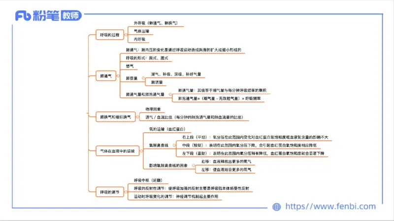 6.14-中学科目三理论精讲8-运动生理学3-岳博_4-教培资料-26年最新资料-同步更新_科一科二电子资料合集中小幼（笔记真题知识点汇总等）文件多，按需保存_01西米合集_1理论精讲