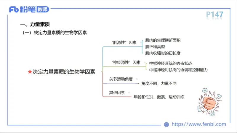 6.14-中学科目三理论精讲8-运动生理学3-岳博_4-教培资料-26年最新资料-同步更新_科一科二电子资料合集中小幼（笔记真题知识点汇总等）文件多，按需保存_01西米合集_1理论精讲