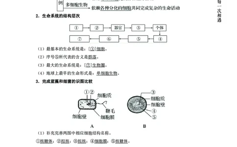 生物专项考点42：细胞结构及功能_2026考公资料_（28）上岸村合集（司马、章晓铭、王永恒、天晓、忠政、丁旭等）_2025合集_92024上岸村广东省考科学推理套卷班_课件