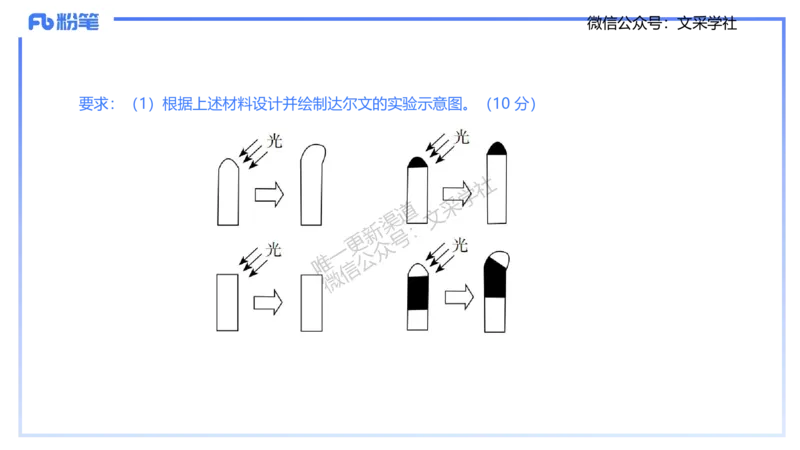 主观专项1-拾光_4-教培资料-26年最新资料-同步更新_初中高中教资_03科三专项（进去保存报考的学科即可）_01科目三FB网课、三色速记手册、知识点导图等推荐_初中_2.主观专项